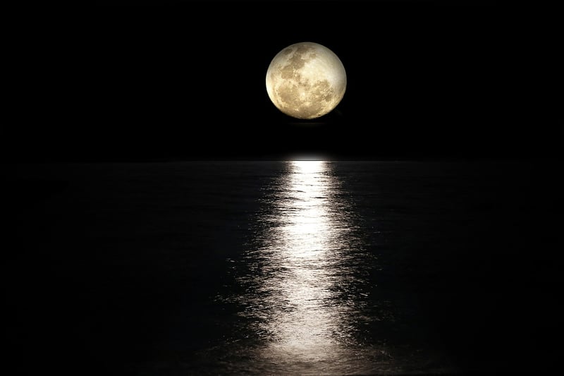 Moon Centerpiece
